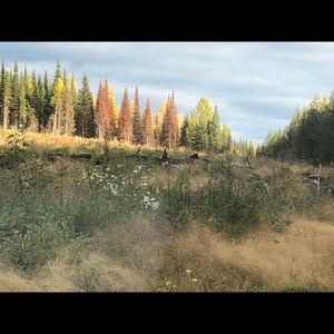 Meet your Posher, Aimee